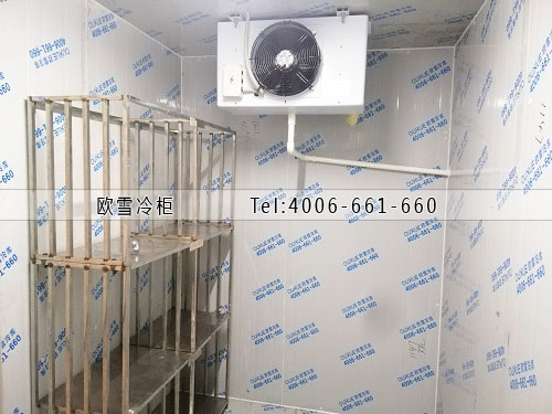 小型醫(yī)藥冷庫安裝.jpg