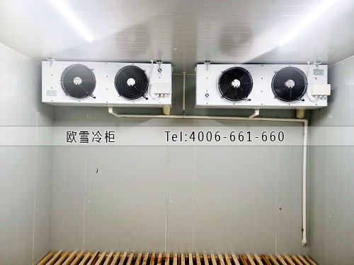 歐雪電子元器件冷藏冷庫工程建設(shè).jpg